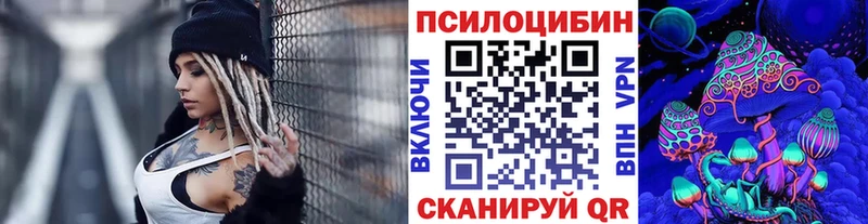 Купить где  Кострома  Галлюциногенные грибы Psilocybine cubensis 